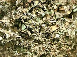 No.23 Herb Tea Mix - Osha Lobelia Mull Colts Catnip Raspberry Mint Leaf - 2 oz