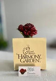 Harmony Kingdom Garden CARNATION Lord Byron Edition 1