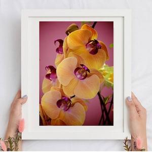 Yellow Orchid Original Art Unframed Photography Print, Fuchsia Wall Art Print for Bedroom, Botanical Print for Modern Art Housewarming Gift