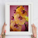 Yellow Orchid Original Art Unframed Photography Print, Fuchsia Wall Art Print for Bedroom, Botanical Print for Modern Art Housewarming Gift