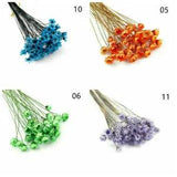 1 Pack Real Pressed Dried Flowers For Art Craft Resin Pendant Jewellery Making