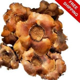 50+ Dried Coconut Flowers Organic 100% Natural Home Floral D???cor Craft Projects