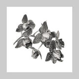 Moth Orchid, Graphite Pencil Drawing, Exotic Plant, Limited Edition, Archival Quality, Giclee Art Print