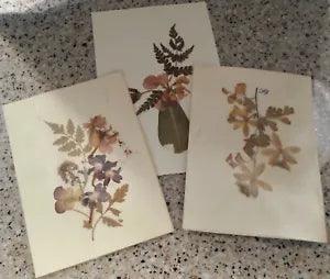 THREE VINTAGE DRIED FLOWER COMPOSITIONS