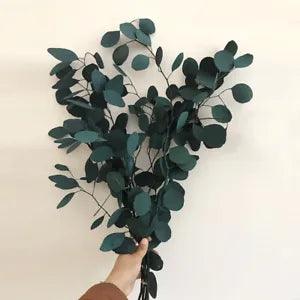 Natural Dried Flowers Eucalyptus Bunch Globulus Leaves Bouquet DIY Home Decor