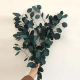 Natural Dried Flowers Eucalyptus Bunch Globulus Leaves Bouquet DIY Home Decor
