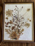 Vintage Framed Dried Pressed Flowers White Background 8.75x11???
