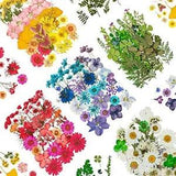 Dried Pressed Flowers, 170+ Pcs Mixed Dried Flowers for Resin, Bulk 5 Color Set