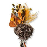 dried flower arrangements by Flower Club?