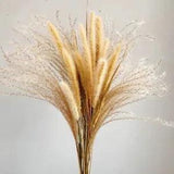 Natural Dried Flowers Bouquet Lagurus Ovatus Dog Rabbit Tail Grass Bunch Real