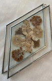 Vintage Pressed Dried Flowers in Glass Suncatcher Hanging