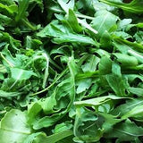 200 Seeds-Organic Arugula Herb Seeds- Eruca Sativa-Italian Cress-Rugula Herb- Salad Rocket -Peppery Tasting Herb-J040- Rucola Herb