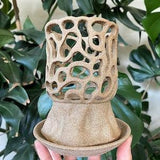 Unglazed Pedestal Orchid Planter Pot with Holes and Optional Saucer