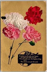 Carnation Flowers Wishes Could Make You Happy Greetings Postcard