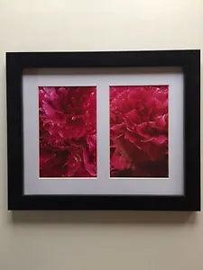 Pretty Pink Peonies Framed Flower Photos 11.25" x 9.25"
