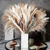 115PCS Dried Pampas Grass Natural Dried Flowers Boho Home Decor Fluffy 115pc-07