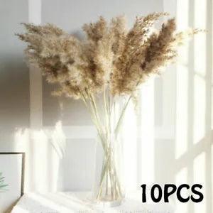 10Pcs Artificial Pampas Grass Natural Dried Flower Wedding Decor Home Decoration