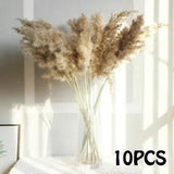 10Pcs Artificial Pampas Grass Natural Dried Flower Wedding Decor Home Decoration