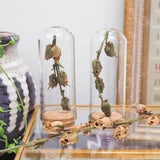 Dried Snapdragon Skull Seed Pods in cloche Glass Vial -  Snapdragon Seed Pods on the Stem - Curio Cabinet - Witchy Altar - Occult Decor