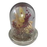 Vintage Dried Wheat & Berry Arrangement In Sealed Lucite Plastic Dome 5" READ