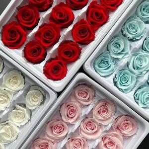 4 Colours Preserved Small Rose single piece | 2-3cm | Dried & Everlasting flower | Bouquet | Wedding | Cake toppings | Flower Decor