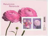 Canada - *NEW* Ranunculus Souvenir Sheet (Flowers) - 2023 - MNH