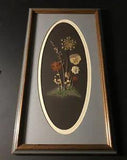 Framed Matted Pressed Flowers Art Wall Decor PA, USA Flower Signed Caryl 12 X 22