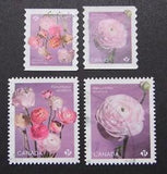 3373-3376 - Flowers - Ranunculus / Renonculus - 2023