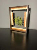 Pressed Flower (greenery) Art In Chocolate Painted Frame