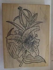 Tiger Lily Rainy Day Stamps Rubber Stamp 1990 Portland Oregon 1999 vtg 5 x 4???