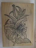 Tiger Lily Rainy Day Stamps Rubber Stamp 1990 Portland Oregon 1999 vtg 5 x 4???
