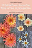 Dahlia Flower Forms You Need In Your Cutting Garden Flower Delivery