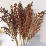 50cm Natural Dried Flower Sorghum Spike Grass Branch Wedding Home Decor Ornament