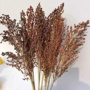 50cm Natural Dried Flower Sorghum Spike Grass Branch Wedding Home Floral Decor