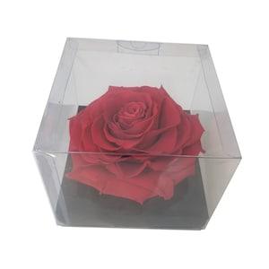 Ecuadorian GIANT 4" Preserved Rose Head, Forever Rose,  Real Long-lasting Rose for DIY Rose Boxes, Bouquets, Enchanted Rose Boxes, Rose Bear