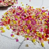 100x Daisy Dried flower head Epoxy Resin Pendant Jewelry Making DIY Accessories
