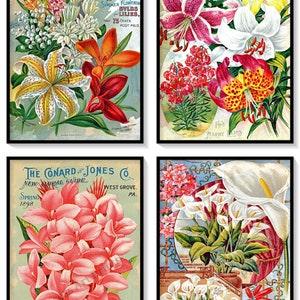 Lily Bulbs Vintage Seed Catalogue Covers Set of 4 Art Prints Lilies Flowers Bulb Companies