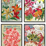 Lily Bulbs Vintage Seed Catalogue Covers Set of 4 Art Prints Lilies Flowers Bulb Companies