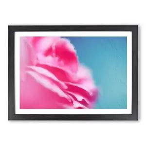 Pink Carnation on Blue Framed Wall Art Poster Print Home Decor Picture Large