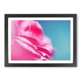 Pink Carnation on Blue Framed Wall Art Poster Print Home Decor Picture Large