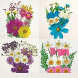 Pressed Dried Flowers for Resin Natural Dried Flower Herbs kit for Resin...