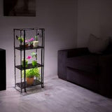 New 2023: Sezam XL Black Strong - stable and sturdy Indoor Mini greenhouse  with grow light for Indoor Plant Care, greenhouse grow cabinet