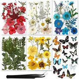 Real Dried Pressed Flower Set with Butterfly Transparent Stickers Scrapbook D...
