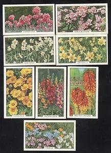8 Vintage 1938 GARDEN FLOWERS Cards APPLE BLOSSOM CARNATIONS RED-HOT POKERS ++++