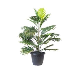 Artificial Areca Palm 34"