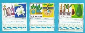 Israel Lily Lilium Flower Avocado Tree Plant Water Drip Irrigation Agriculture