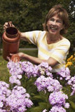 When to Feed a Hydrangea Flower Delivery