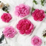 24 pack 12" 16" 20" Pink and Fuchsia Tissue Paper Peony Flowers Home Backdrop