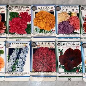 New Find! Lot of 10 Vintage 1934 "Better Homes" Flower Seed Packets from Crosman Seed Co., East Rochester, NY!