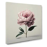 Peony Flower Minimalism Canvas Print Wall Art Framed Picture Home Decor Large